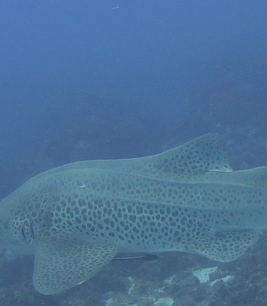 43ab1982-c159-49a4-bd39-d732260af36a