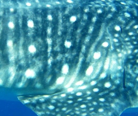 5f929311-0386-4963-a65c-8472ce6a2a3f