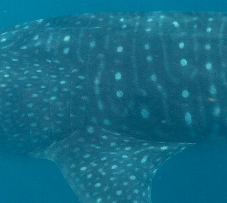 03edc049-185a-47db-be1a-1c88e306e84a