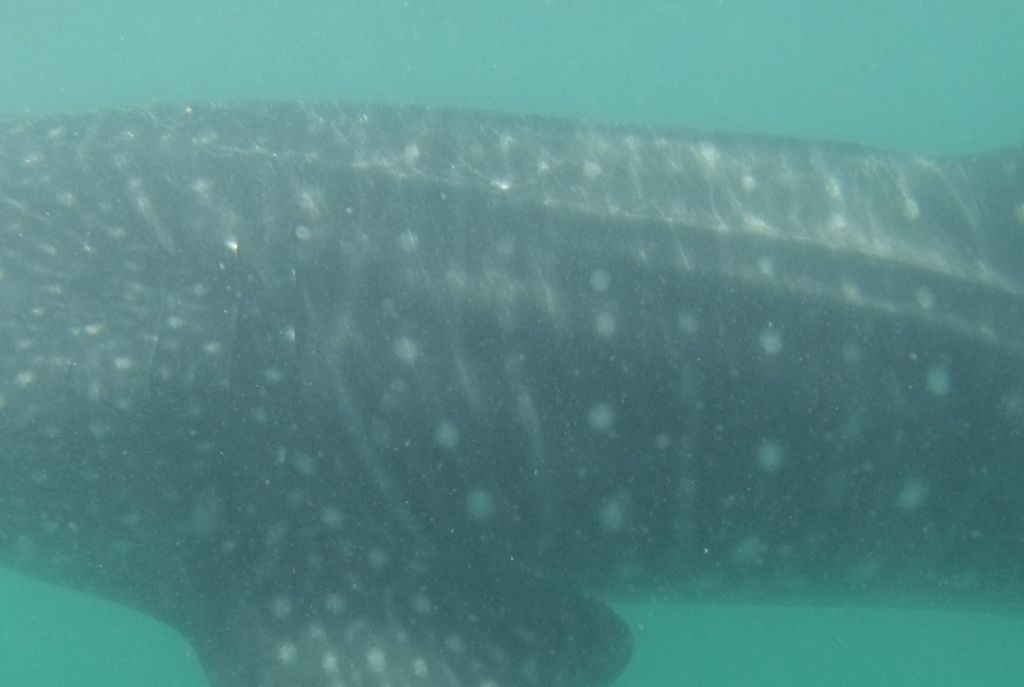 38da77fe-1ec2-49b0-b65b-7f8b1dfdc9ef