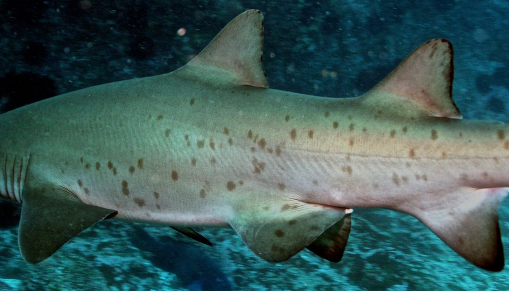 6bf45ed1-e700-48a2-b711-00b7411016b4