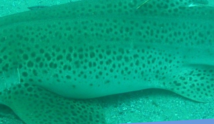 e95d2df0-b714-4055-970f-ac21d3046c4c