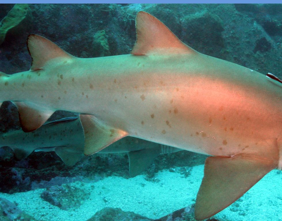 84c353ab-483f-4a1d-9abb-db19f2798d64