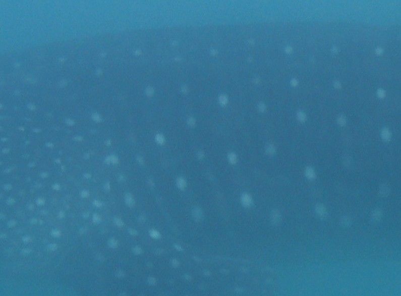 4096305a-0139-4bbb-88b7-a11b282248f1