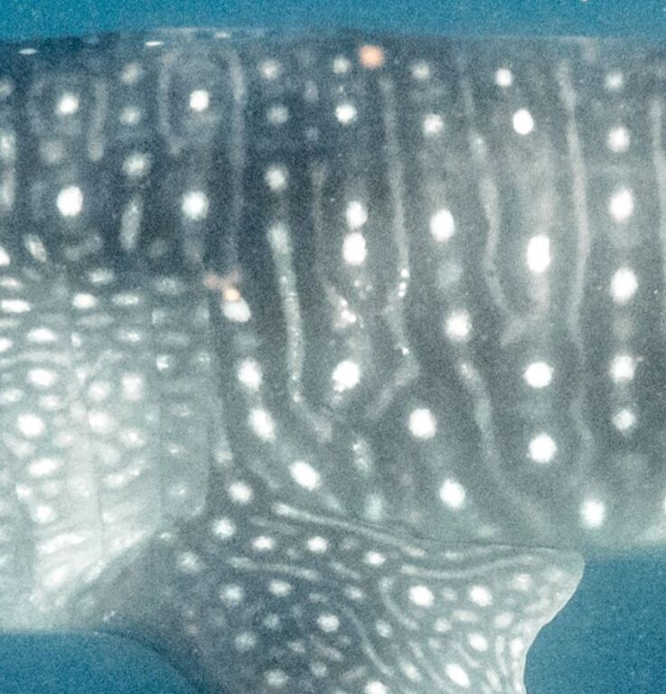 aa355165-0d11-47b1-bebc-166973da81d2