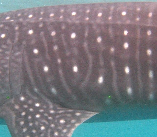 8598669b-b827-4aba-a8cb-593ebcbe19dd