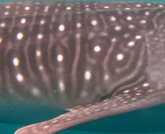 8598669b-b827-4aba-a8cb-593ebcbe19dd