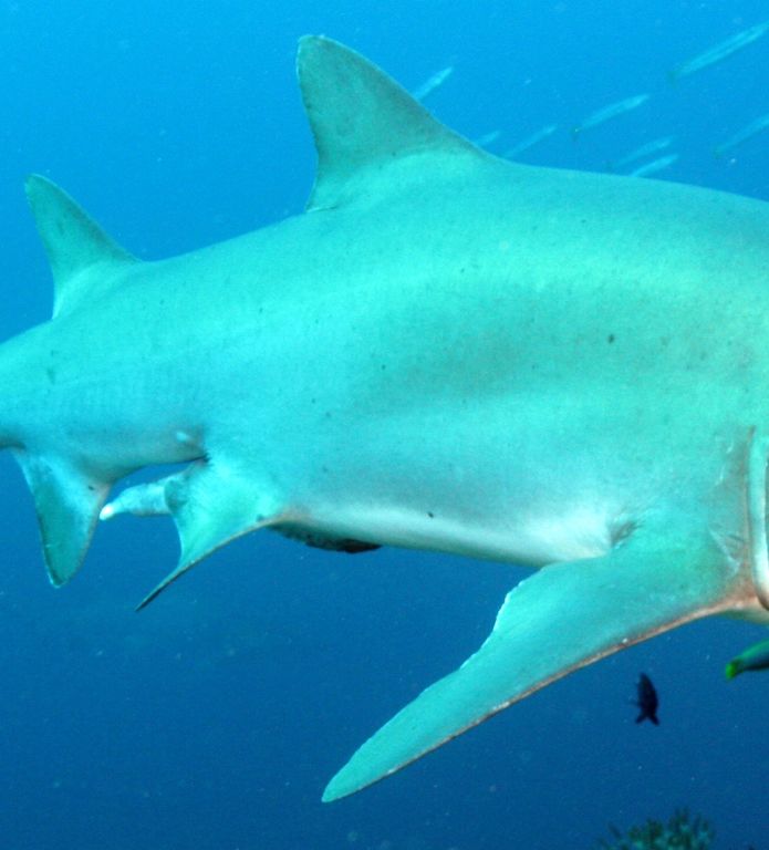 ebcce368-b530-4d50-8201-55705676c5f2