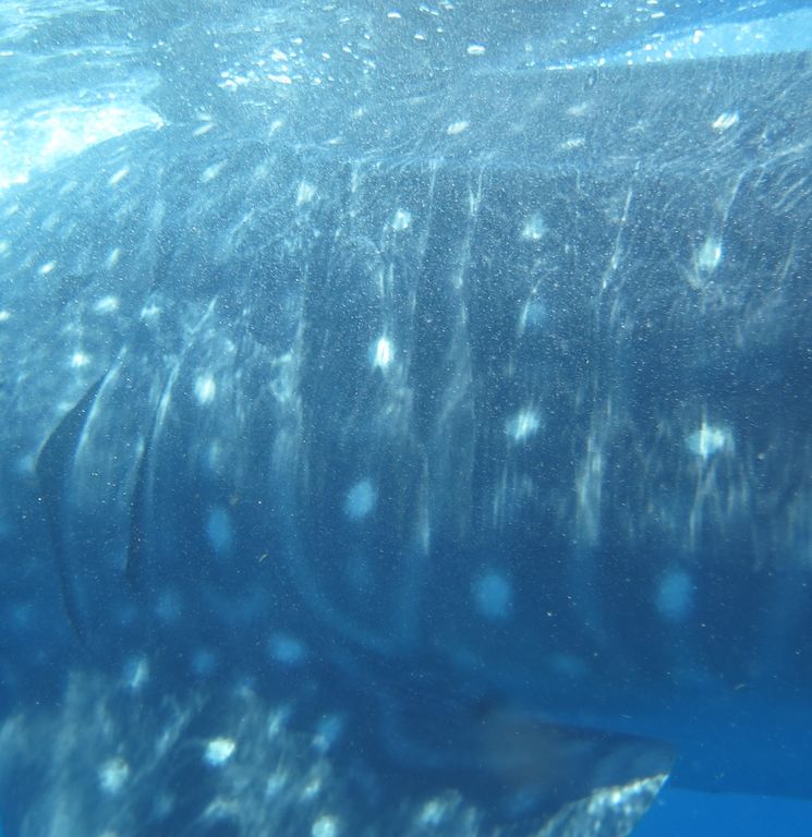 42d8d4e1-c7d2-424f-80a0-14b4d1036229