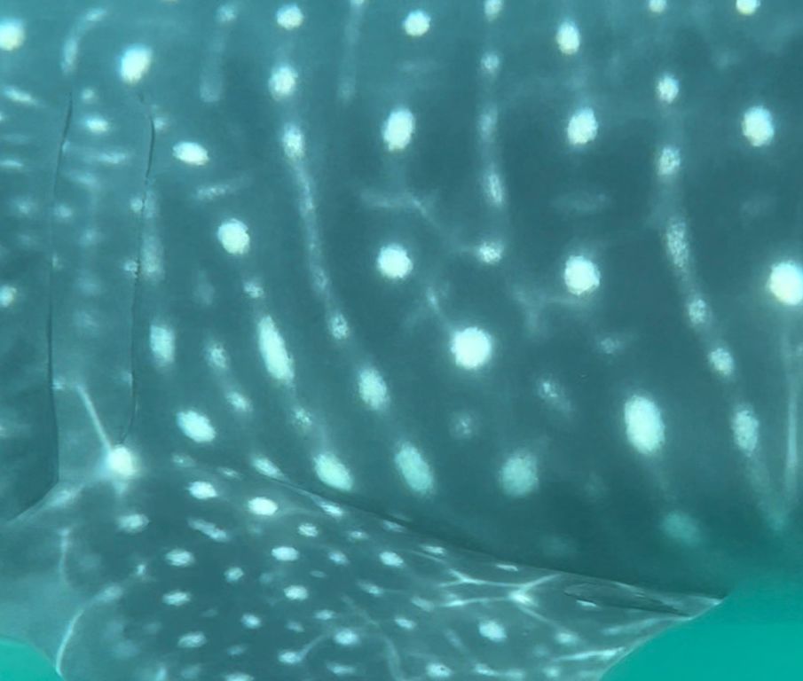 3a8a7008-02ce-4dd6-bc20-8830378e2f6c