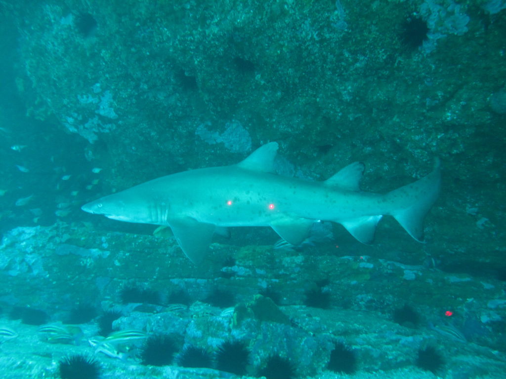 f577b5f1-95d3-4ca1-9266-ef186ac7e38a