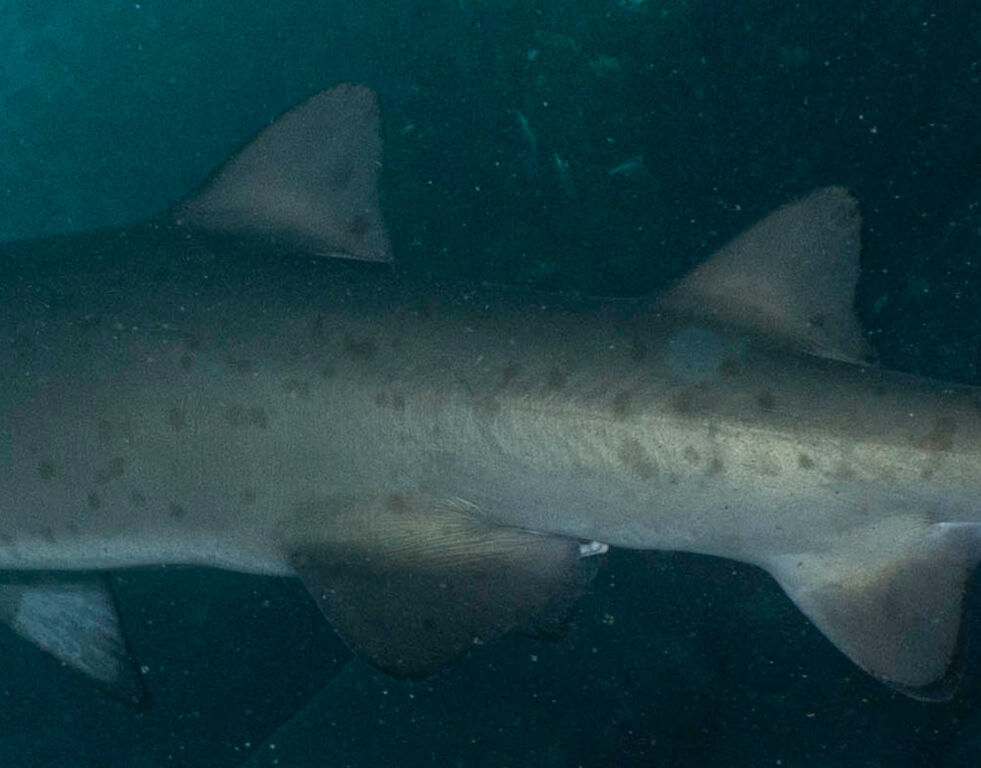 6d7093f3-f711-469d-8ad1-2bf3491000c3