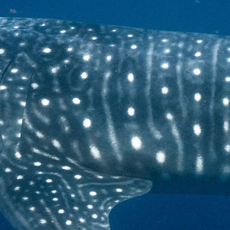 db65f77c-778e-4e12-a1cb-6f74646f789e