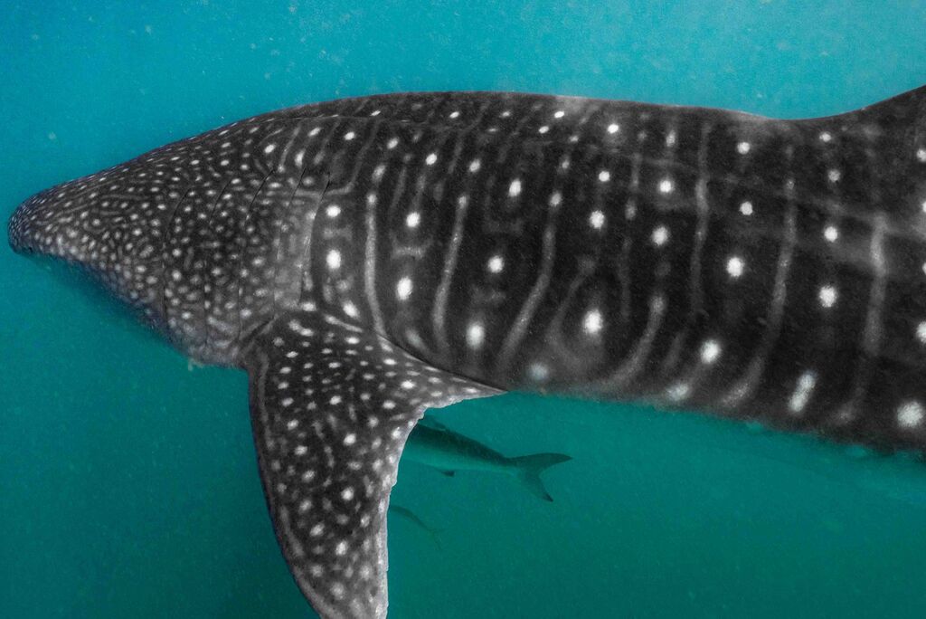 47b428d6-d3c2-46d6-8ecd-7603521be394