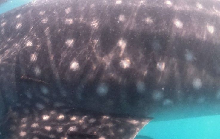 a8e05f84-502d-429b-902a-e60103a2b625