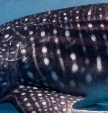 417589fc-3625-47b8-96d1-8f1235cedfd0