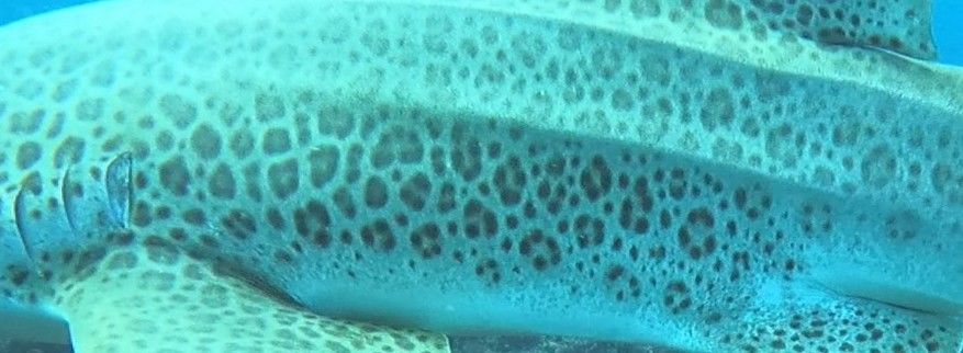 fc7b90ce-af53-49f5-ae88-133f5fc0a6a8