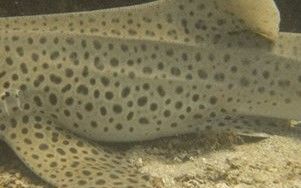 fac205ae-8772-4e22-93e7-cb9bae2f69f8