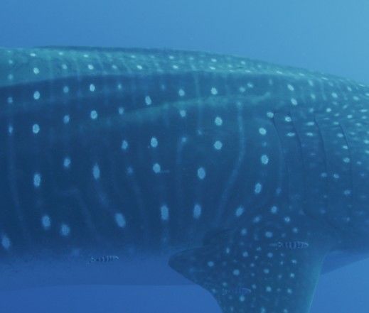 d0a0bb43-99d4-4cab-ab9b-9b4addc0a140