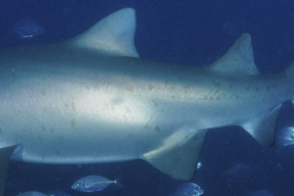 592a31b3-edca-472c-9b89-6a3643f6aba9