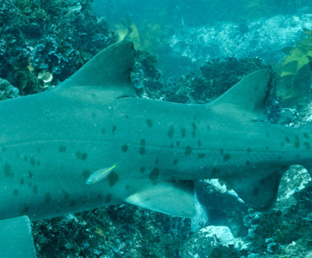 88347eed-bb4f-4517-9a0b-ad9a88e69581