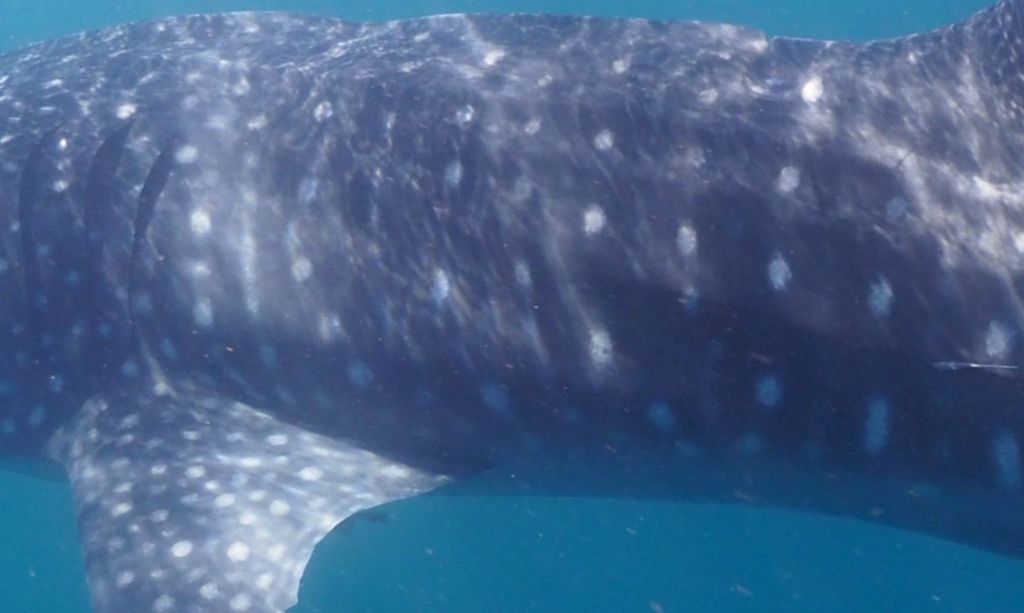 211733aa-8e65-4f33-a013-52a7cac1979c