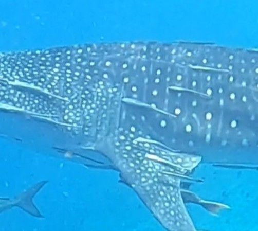 933af195-a92e-4bae-b173-7fbaf149ca6a