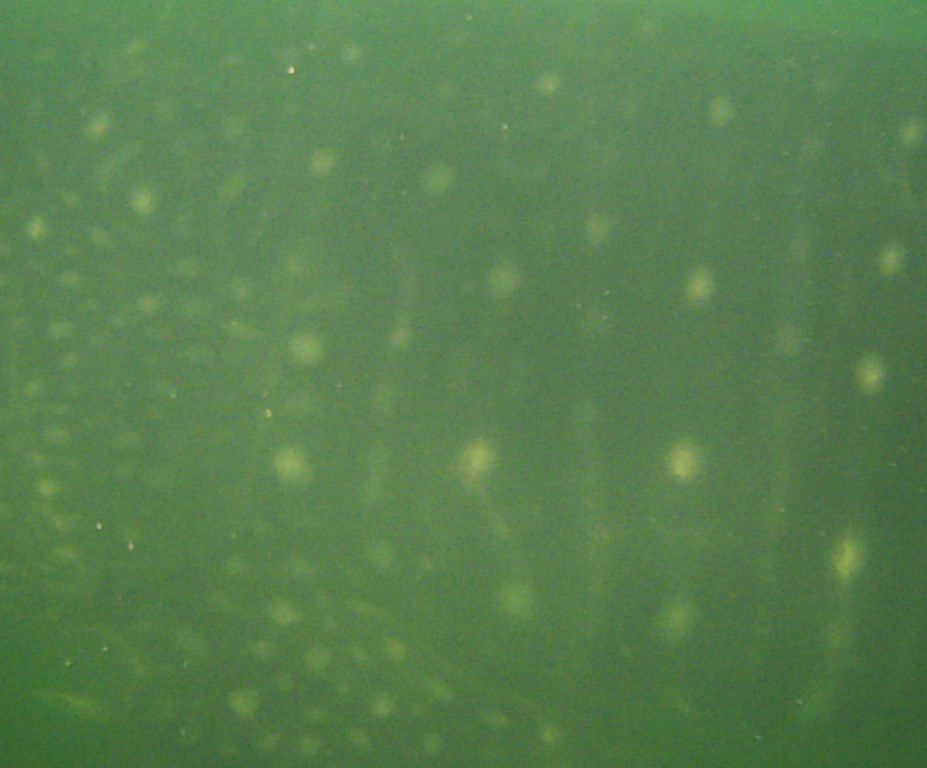 4665d063-0932-4b3f-af9c-a9bdc1fa6d58