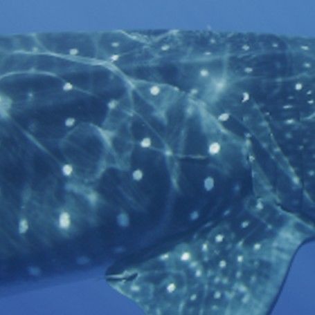 0e945a91-7c51-41a6-b253-31c770875954