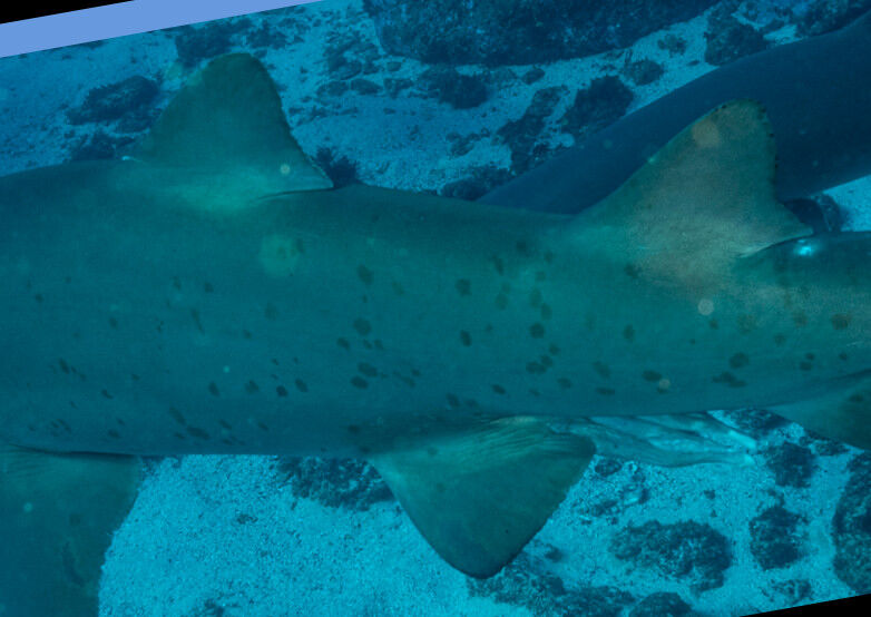 58610cb0-111d-4678-843d-ab4e928e2577