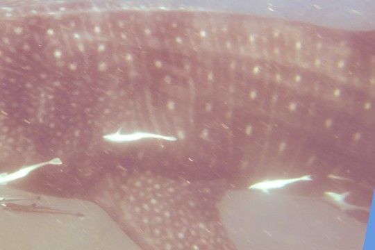 48b4d919-9ca6-4345-81b9-4d3a1e841b31