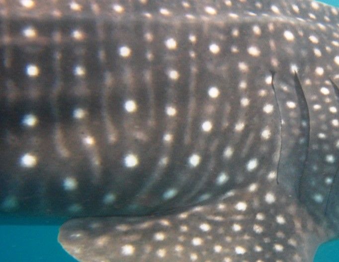 d070107d-9ca9-4fdf-8201-2db6d40c54f3