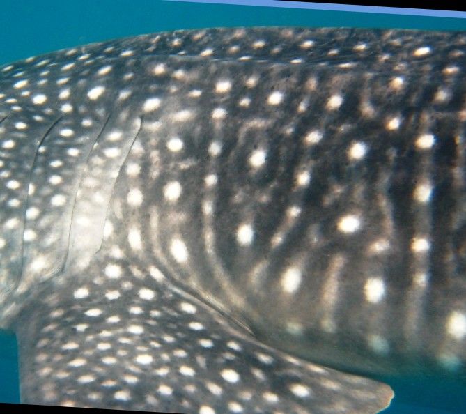 d070107d-9ca9-4fdf-8201-2db6d40c54f3