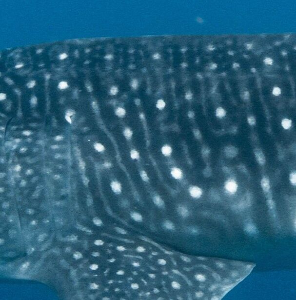 7430b944-dbcb-424f-bb3d-49f5a2bdb34f