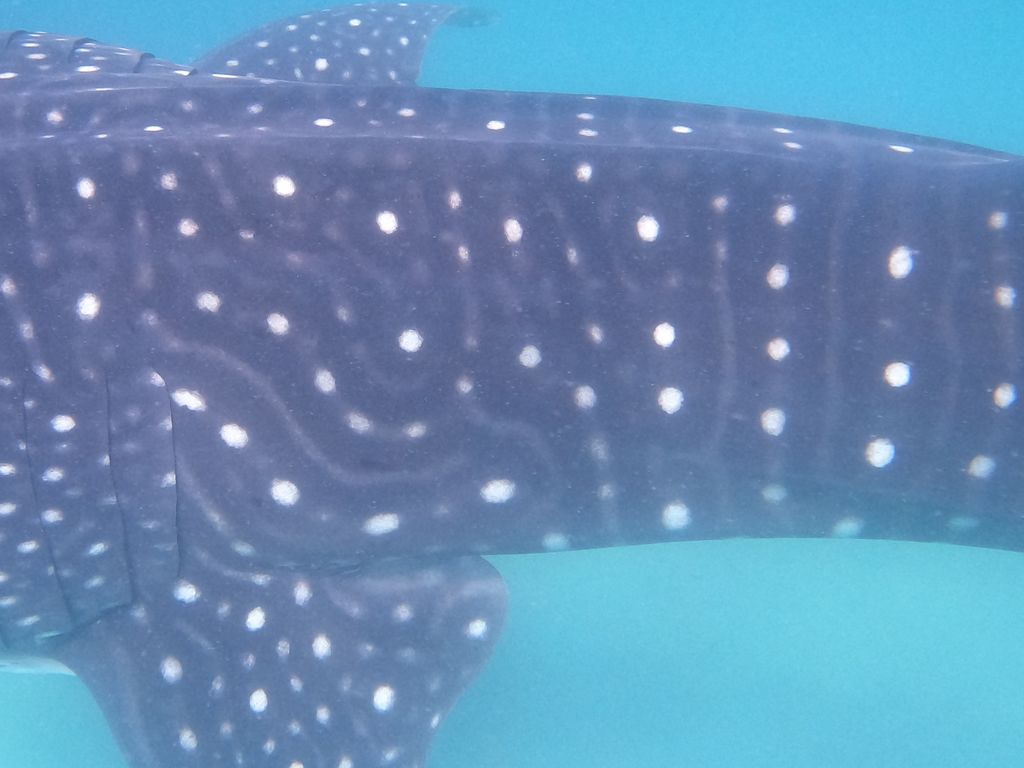 52a85614-6a39-45e6-b2c9-fc6dac6d0e7d