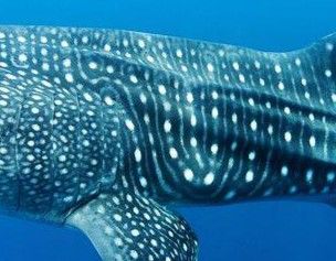 eb07e127-bcf3-4bb1-bd9b-4ecc78e1bcd5