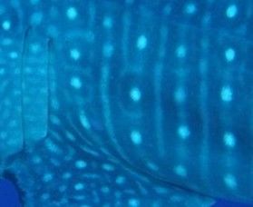 403e4e26-9048-4de1-87d8-1786bec0296d