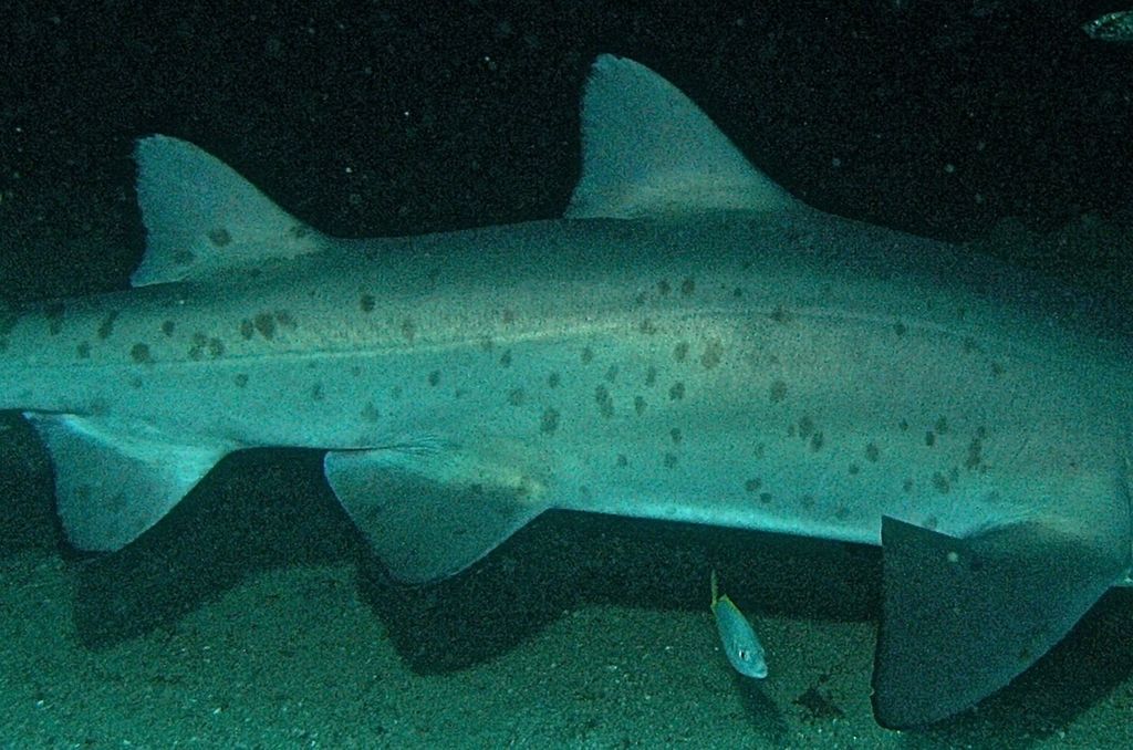 3d20ea99-4577-4480-8394-0c6fe2ba0714