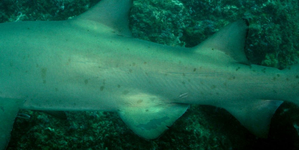 ebd5d8d7-6bbe-4cb6-81b8-cac58d54dee4