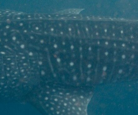 43f8e2f1-df52-48a5-a68b-deab23b95d23