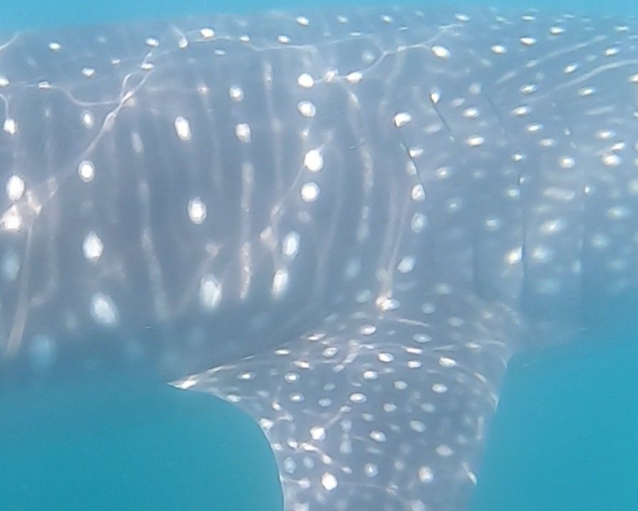 ac76fe0e-52d6-4311-adad-774a90e17809