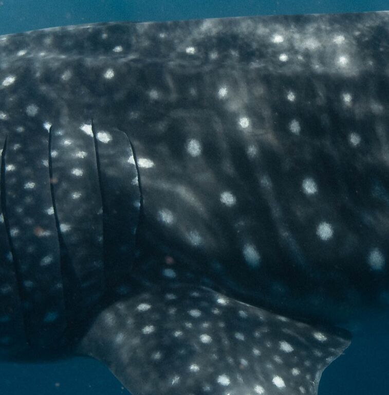 54aac2c7-9429-440e-b920-d53de1402993