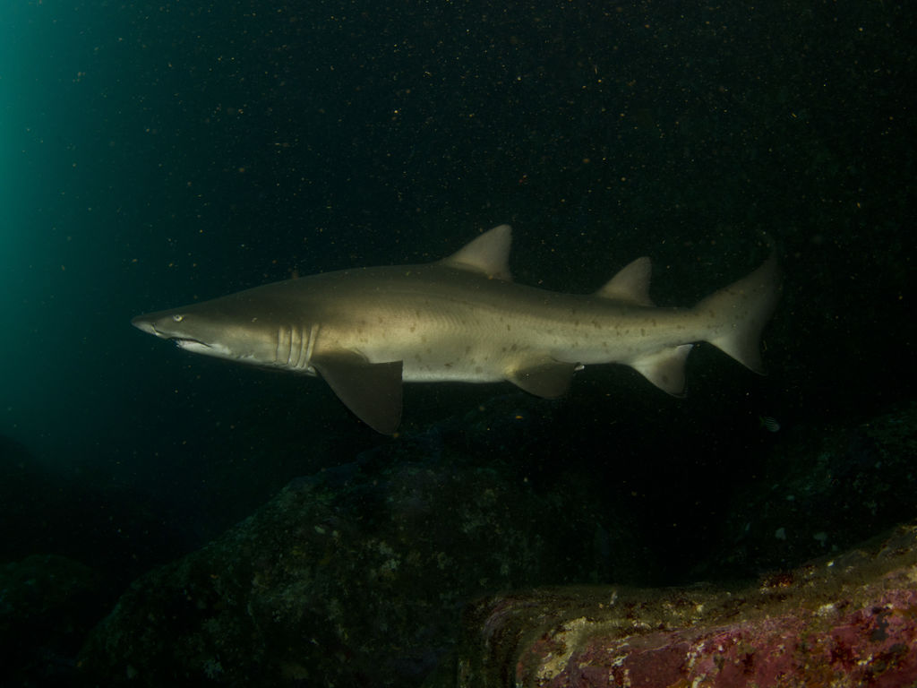 4df69252-b8b4-44c8-a01b-bef1929ba38c