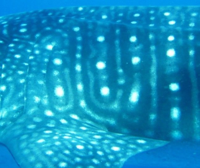 c5229f6e-36f6-4711-8397-0ee86f7b5fbf