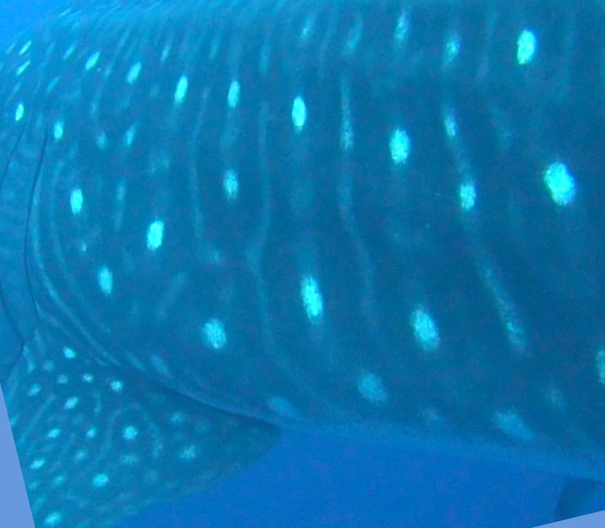 d1989f58-e5ce-4d2a-94c4-a8b50e26326c