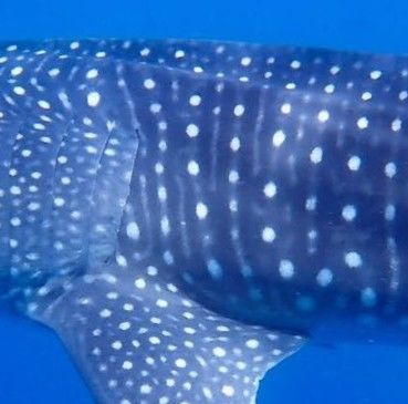 7270f45f-505b-4d2d-b4d4-6d0f6627c15c