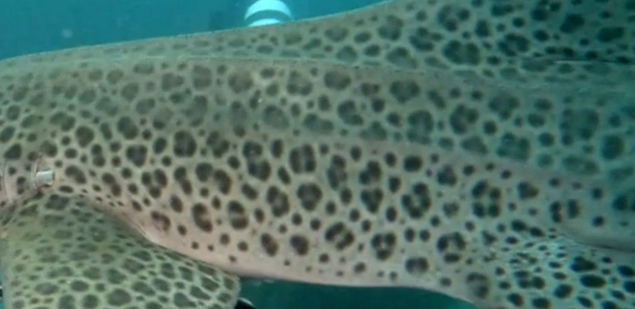 3cad230a-1064-4b2d-9bae-1785b36fe245