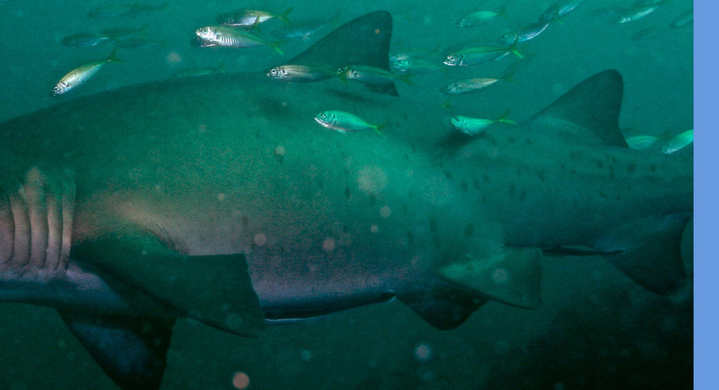 80b05c19-441f-4d1d-a7f3-204b160a0e8b