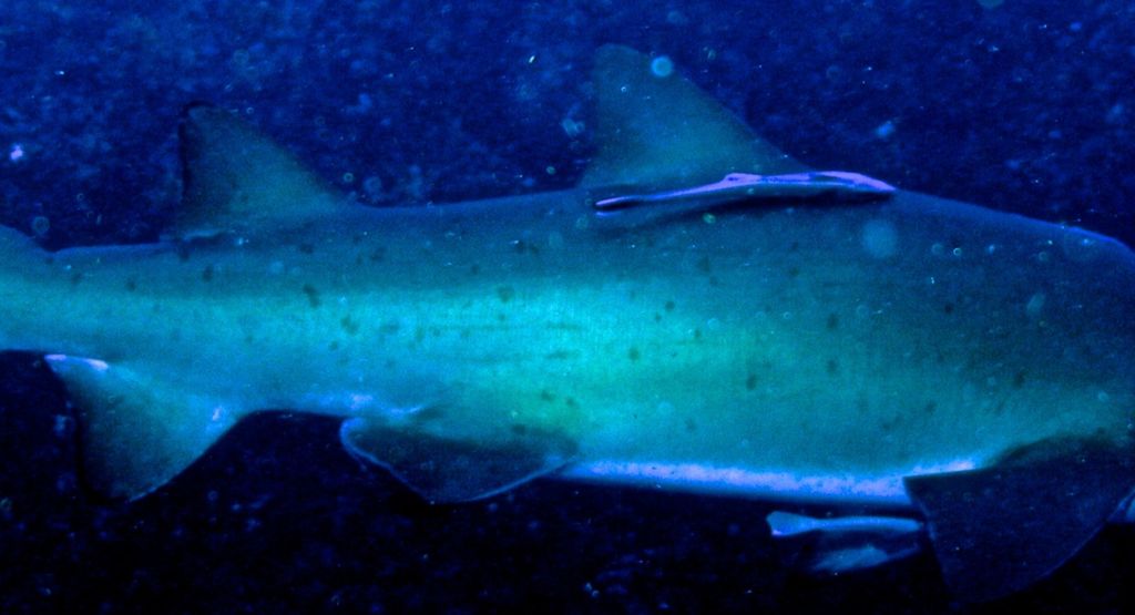 8999d480-7354-4e1d-8553-22799d6b511f