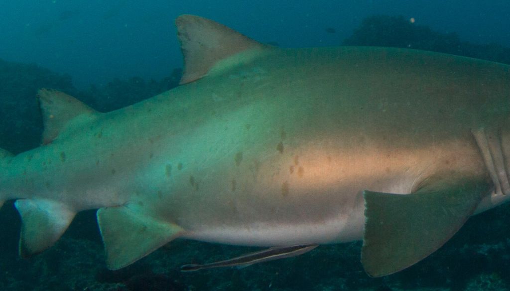 de8359c2-426e-409e-abc2-680ef2d6db96